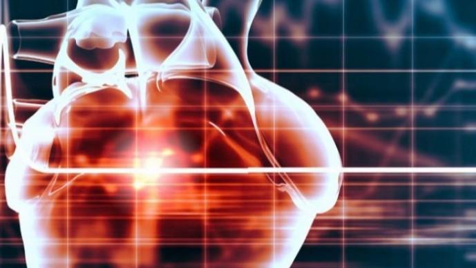  深藏的警示：被忽视的生命倒计时与守护秘籍 健康养生