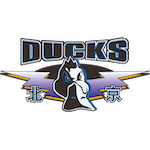  战术执行与犯规控制：深度解析教练组的临场应变能力 IT技术 战术执行与犯规控制：深度解析教练组的临场应变能力 IT技术