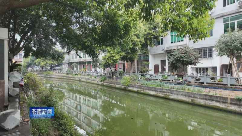  2024城市更新趋势：从“微治理”洞见社区复兴新机遇 新闻 2024城市更新趋势：从“微治理”洞见社区复兴新机遇 新闻