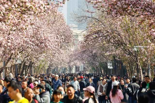 清明踏青却喷嚏不断？这位医生的提醒太及时了