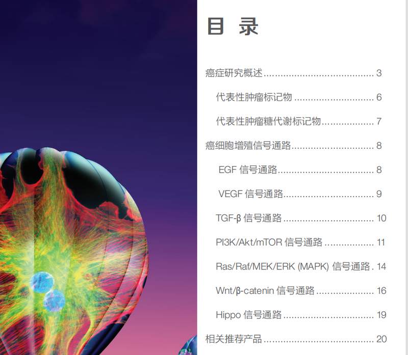  【技术深耕】肿瘤免疫实验全流程避坑指南：从样本处理到成像的实战方法论 IT技术