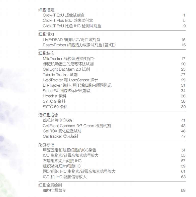  【技术深耕】肿瘤免疫实验全流程避坑指南：从样本处理到成像的实战方法论 IT技术