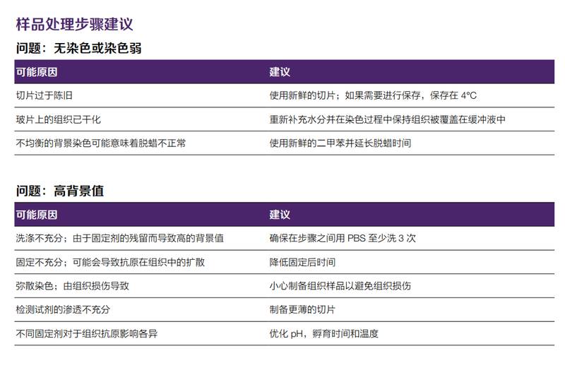  【技术深耕】肿瘤免疫实验全流程避坑指南：从样本处理到成像的实战方法论 IT技术