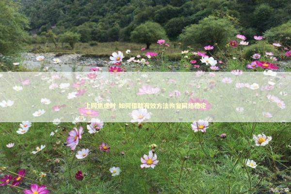 上网焦虑时 如何借助有效方法恢复网络稳定 新闻