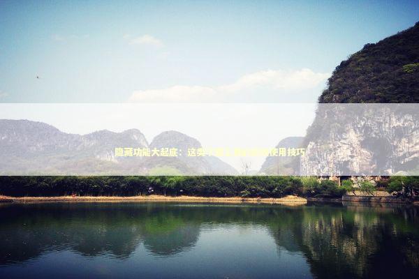 隐藏功能大起底：这类下载工具的高效使用技巧 IT技术