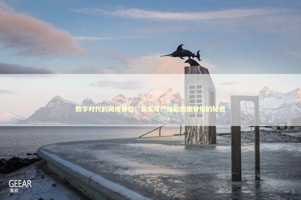 数字时代的网络体验：真实用户体验数据背后的秘密 IT技术