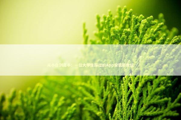 从小白到高手：一位大学生踩过的App安装那些坑 IT技术