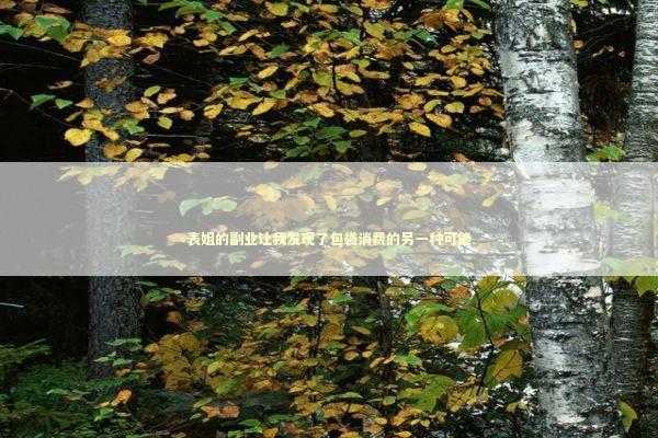 表姐的副业让我发现了包袋消费的另一种可能