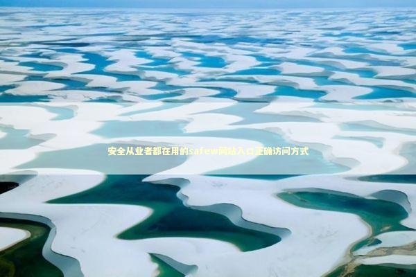 安全从业者都在用的safew网站入口正确访问方式 IT技术