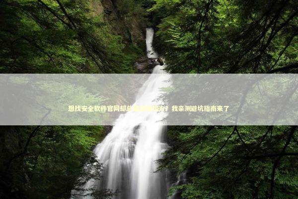 想找安全软件官网却总是进错地方？我亲测避坑指南来了 IT技术