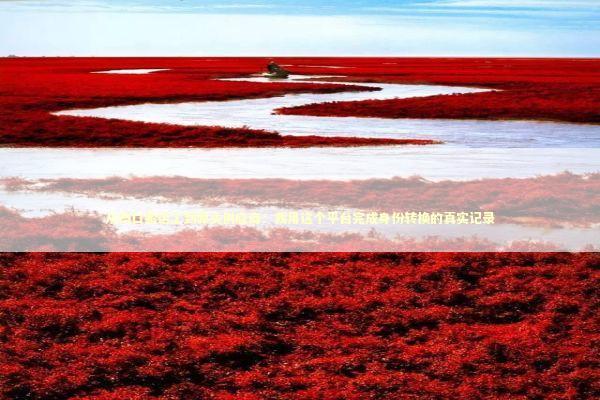 从档口搬运工到源头供应商：我用这个平台完成身份转换的真实记录