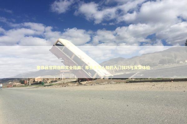 奢侈品官网选购完全指南：那些不为人知的入门技巧与真实体验 时尚用品