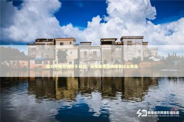 踩坑无数后我终于开窍：原来看懂品牌排名这么有用 新闻