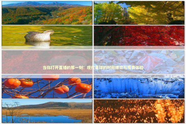 当你打开直播的那一刻：现代足球的时间博弈与观赛体验 体育新闻