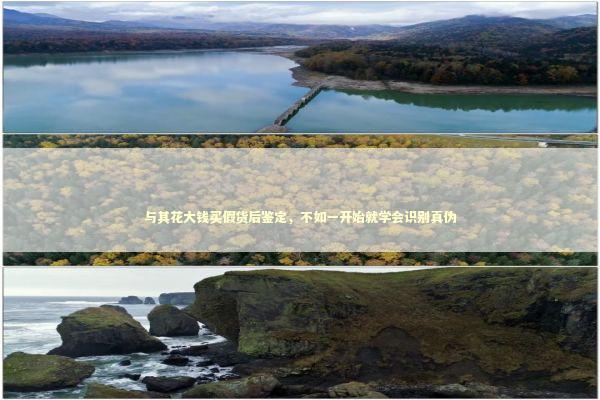 与其花大钱买假货后鉴定，不如一开始就学会识别真伪